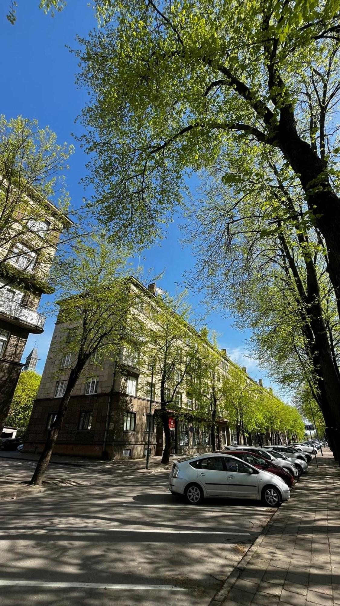 קלייפדה Heritage House Dane Apartment מראה חיצוני תמונה